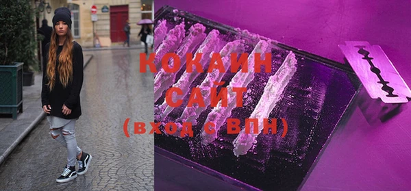 мдпв Ладушкин