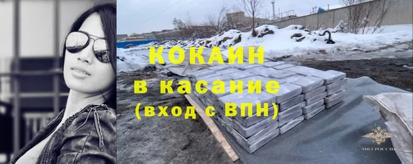 мдпв Ладушкин