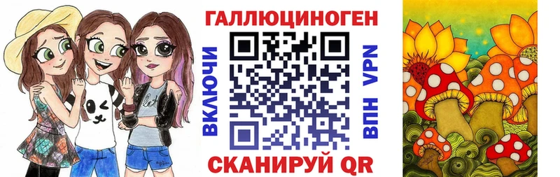 Купить закладки  Вязьма  Галлюциногенные грибы мицелий 